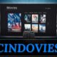 Cindovies A Comprehensive Overview